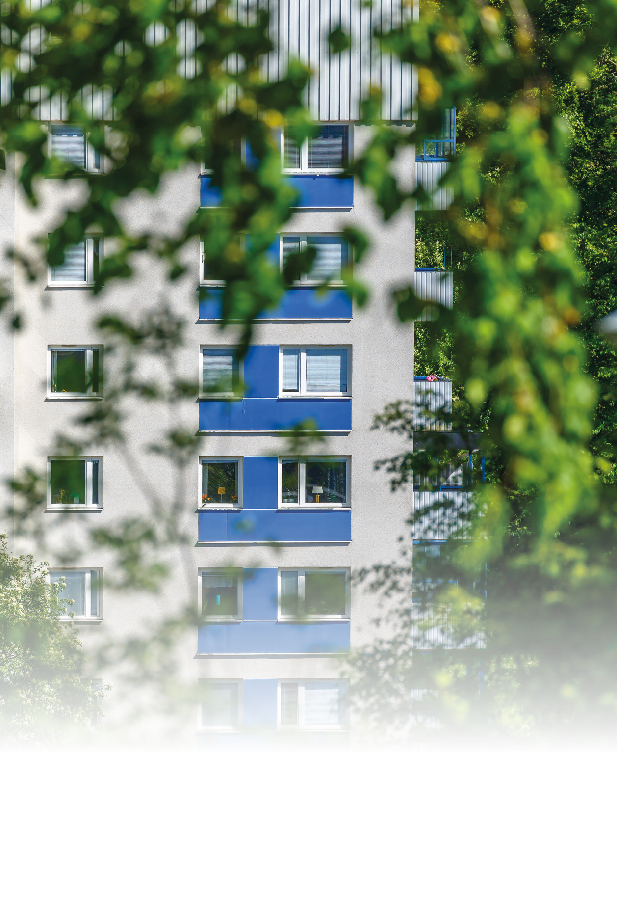 Apartment building among the foliage in the summer