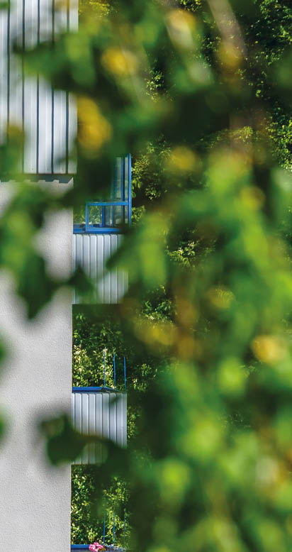 Apartment building among the foliage in the summer